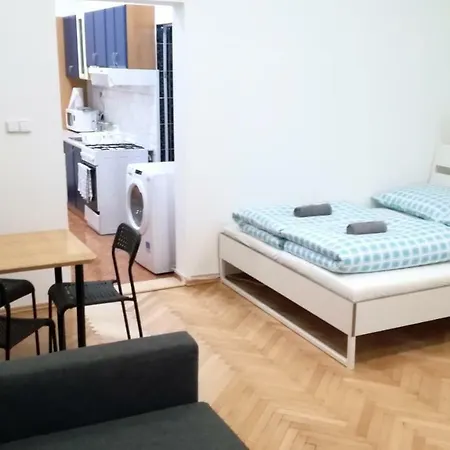 Downtown Viki Apartment *
